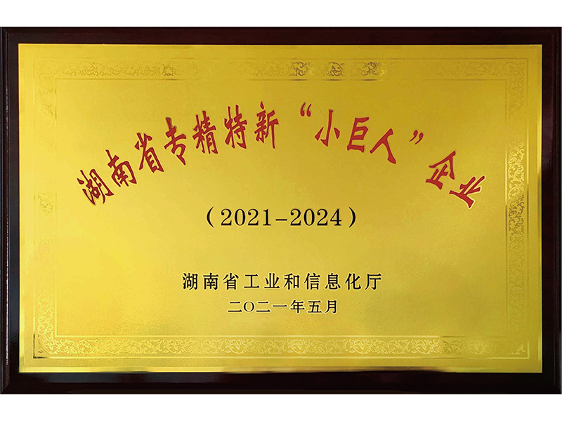 湖南省專精特新“小巨人”企業